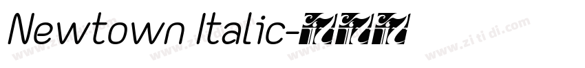 Newtown Italic字体转换